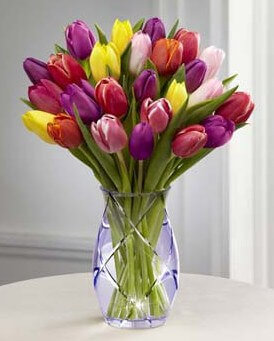 Assorted Tulips