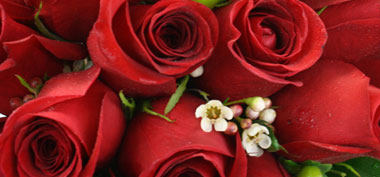 Red roses for loved ones