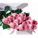Premium Dozen Long Stem Pink Roses In A Box