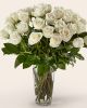 Exquisite Taste - White