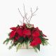 Poinsettia Planter 