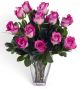 Dozen Hot Pink Medium Stem Roses