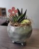 Pedestal Succulent Planter