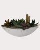 Cresta Succulent Boat