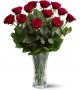 Dozen-red-roses