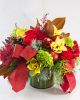 Festive Splendor Premium