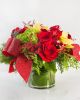 Festive Splendor