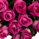 Dozen Hot Pink Medium-Stem Rose Bouquet