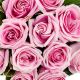 Dozen Pink Medium-Stem Rose Bouquet