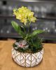 Orchid Succulent Planter - Green