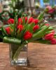 Red Tulips