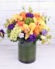 sunshine-splendor_1
