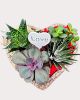 Valentine Heart Succulent Planter