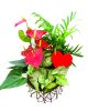 Valentine's Day Tropical Planter