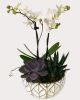 Orchid Succulent Planter - White
