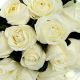 Dozen White Medium-Stem Rose Bouquet
