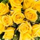 Dozen Yellow Medium-Stem Rose Bouquet