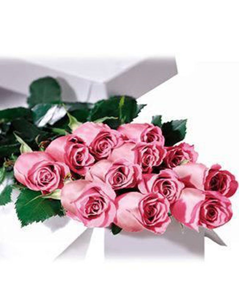 Long online stem roses