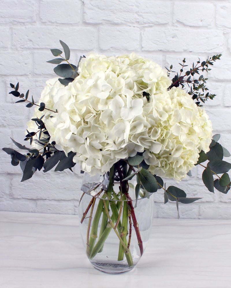 Image of White hydrangeas in a wedding arrangement